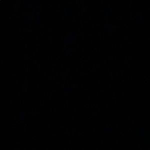 Meet your Posher, Chelsea